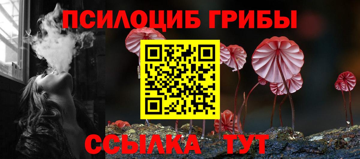 Галлюциногенные грибы Cubensis Фурманов