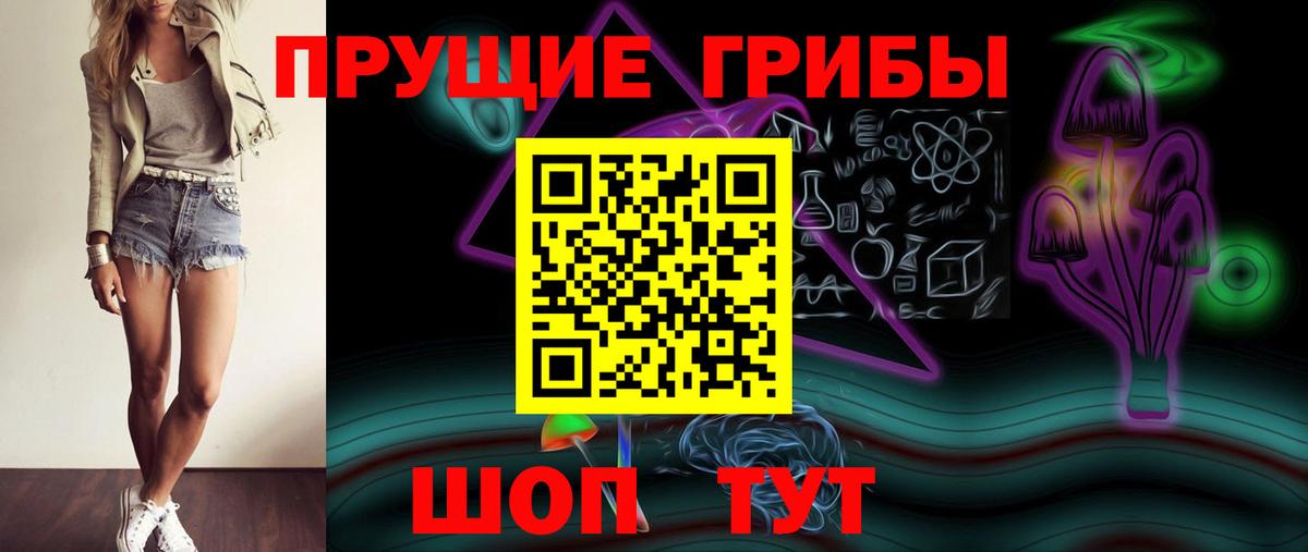Галлюциногенные грибы Psilocybe  Псилоцибиновые грибы GOLDEN TEACHER  Фурманов  Вход с VPN 